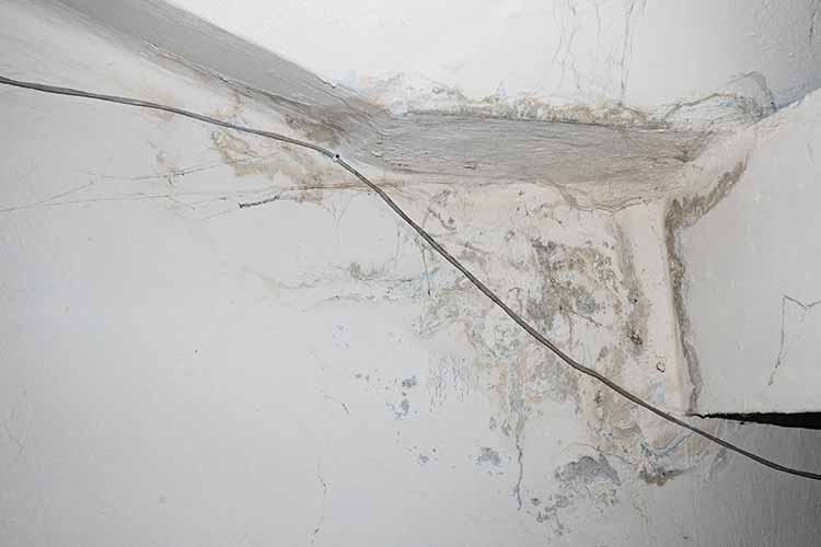 Mold